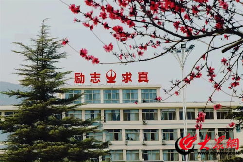 山东省泰安第二中学入选 山东省省级特色高中