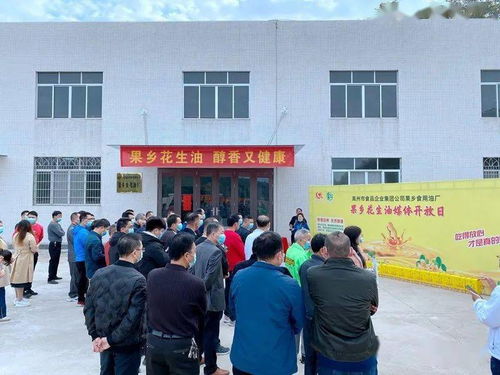 高州食品集团又一力作 果乡花生油厂 正式投产,滴滴纯正