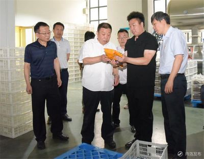 张凯盈:聚焦关键目标 持续精准发力 推动经济社会高质量发展