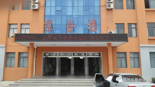 舌尖上的安全 临沂凤凰岭中学开展食品安全宣传活动
