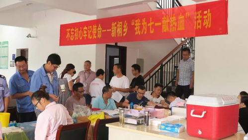 新桐统战这一年,不得不说的六个关键词