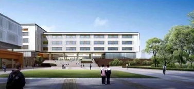 雨花教育全面爆发 未来新建22个中小学 规划图曝光