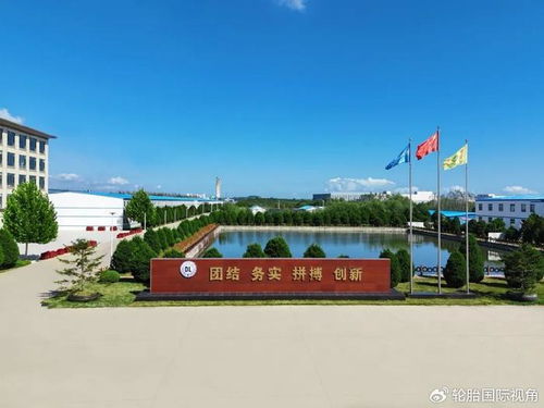 知名轮胎工厂产品质量获得高度认可