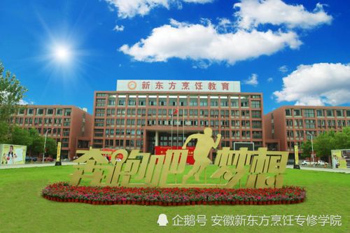 男生初中毕业学技术,学什么好